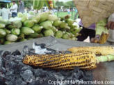 corn roasting